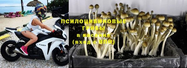 mdpv Верхний Тагил